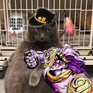 Meet your Posher, Danny